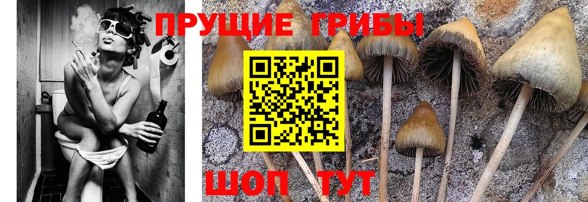 Гашиш  ГАШ  Электрогорск  Альфа ПВП СК кристаллы  Меф кристаллы  Вход с VPN  Каннабис  Экстази 