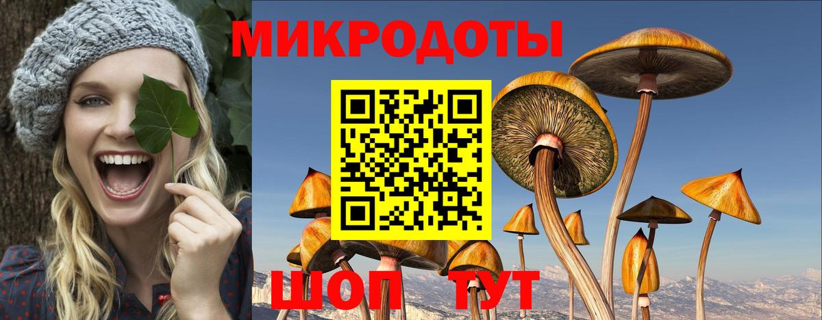 Псилоцибиновые грибы MAGIC MUSHROOMS Электрогорск