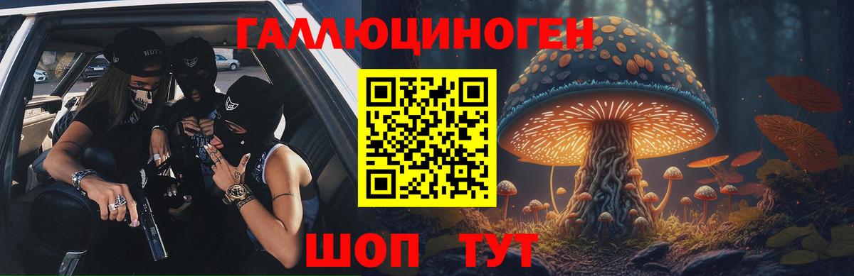 Псилоцибиновые грибы Magic Shrooms  Вход с VPN  купить   Электрогорск 