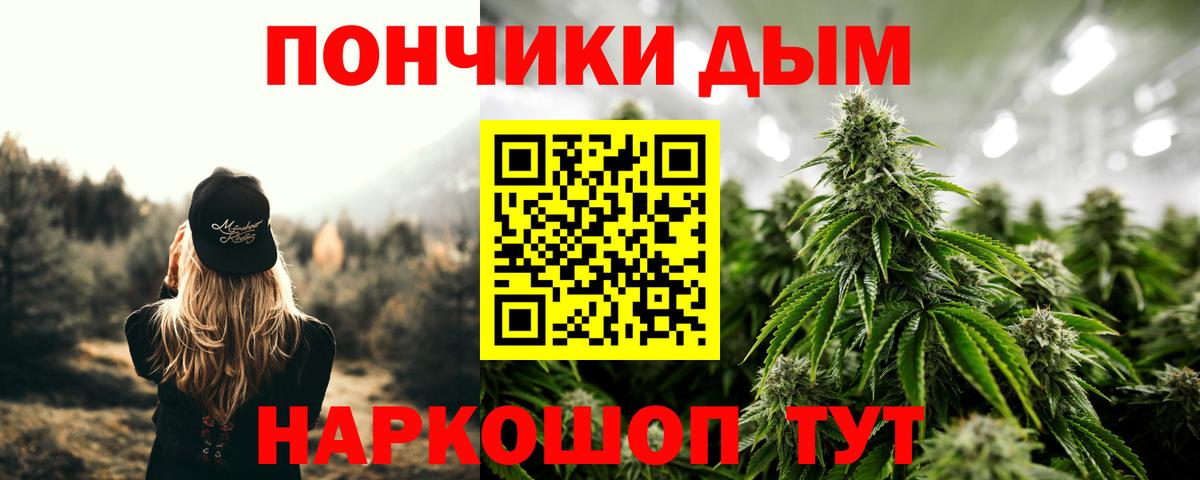 Электрогорск  Бошки марихуана семена  Вход с VPN  Конопля ГИДРОПОН 